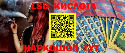 индика Вязники