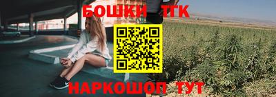 индика Вязники