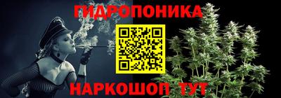 индика Вязники