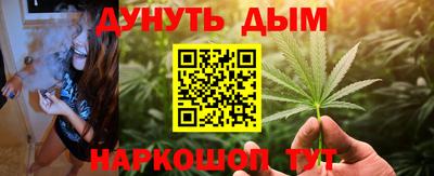 индика Вязники