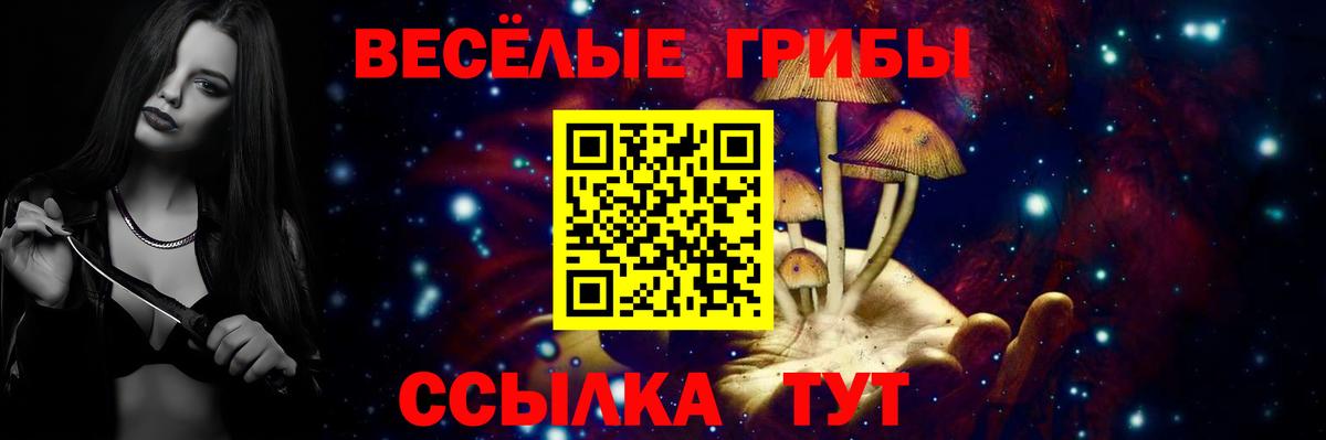 Псилоцибиновые грибы Magic Shrooms  где купить наркоту  Бахчисарай  Вход с VPN  Галлюциногенные грибы прущие грибы 